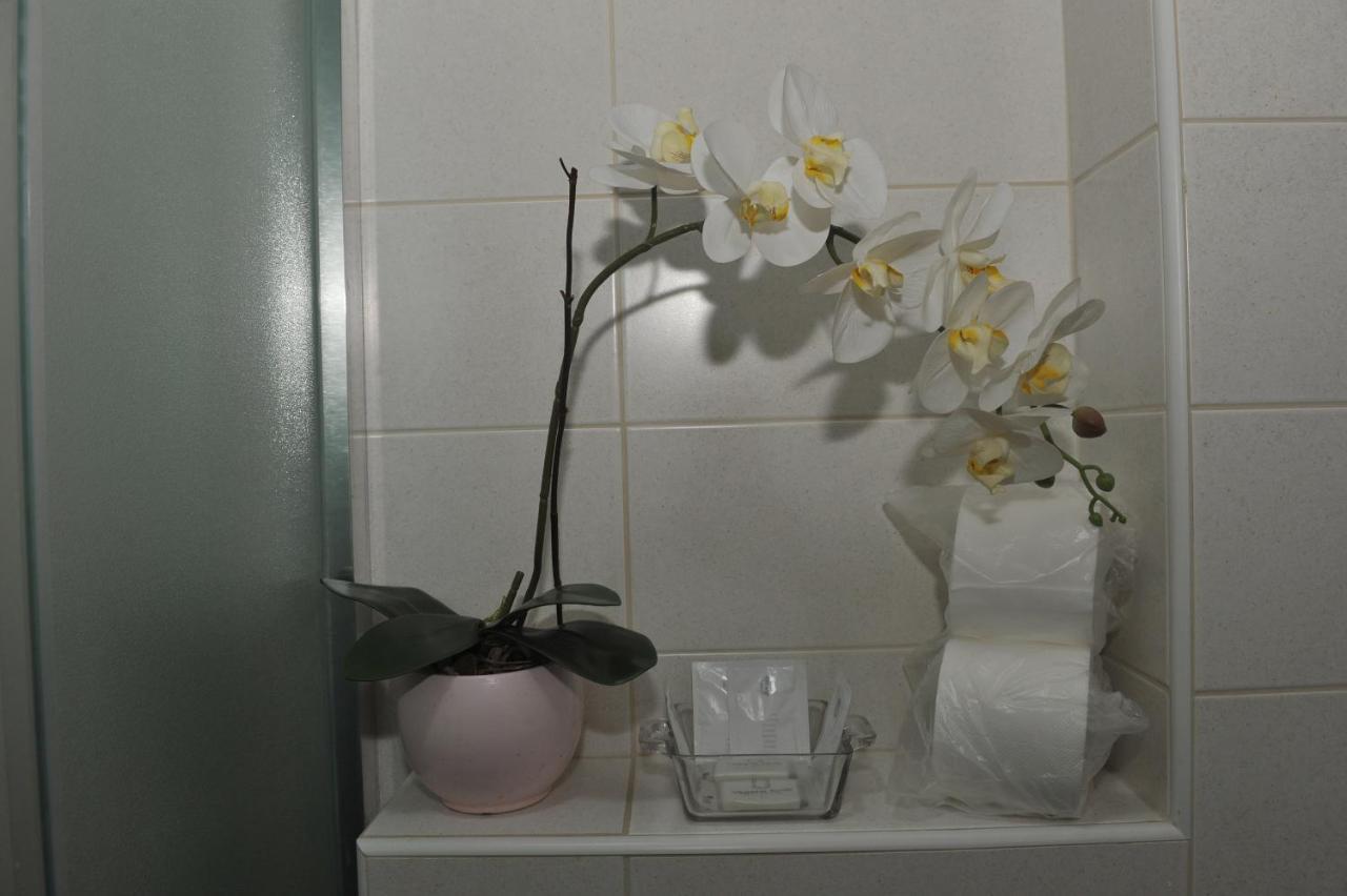 Angellina Apartmani Sremska Mitrovica Extérieur photo